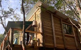 Reserva Jacarandá Cabanas